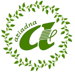 logo (1)